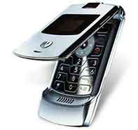 Contact Port Elizabeth Property Mobile